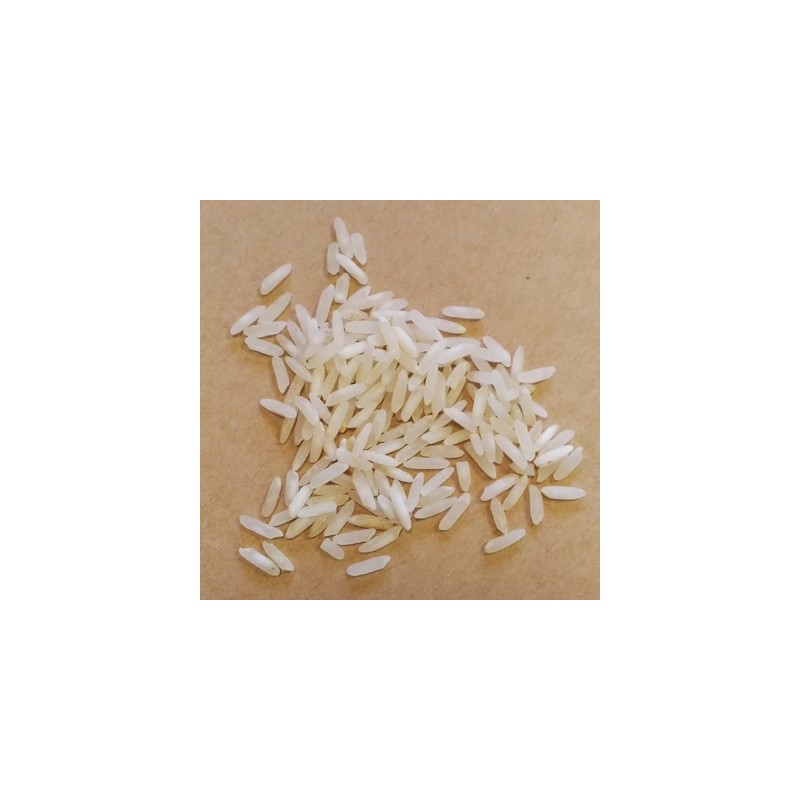 Riso Apollo Basmati- chicchi